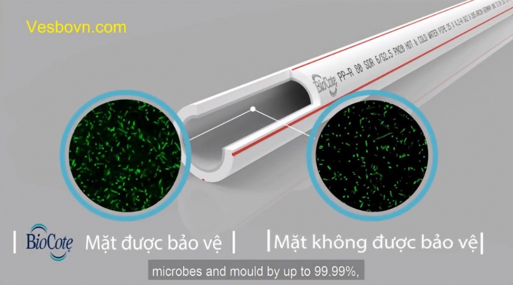 Ống nước PPR Vesbo với công nghệ Biocote kháng khuẩn